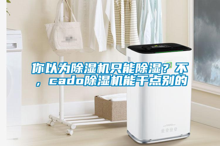 你以為除濕機只能除濕？不，cado除濕機能干點別的