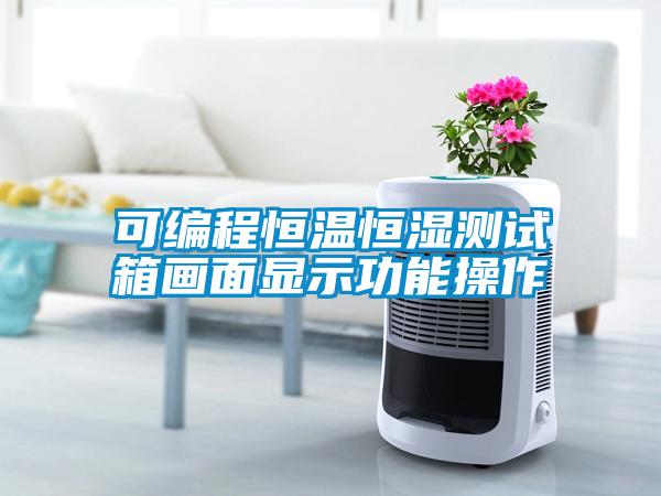 可編程恒溫恒濕測(cè)試箱畫(huà)面顯示功能操作