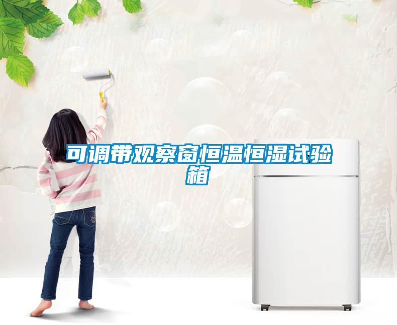 可調(diào)帶觀察窗恒溫恒濕試驗箱