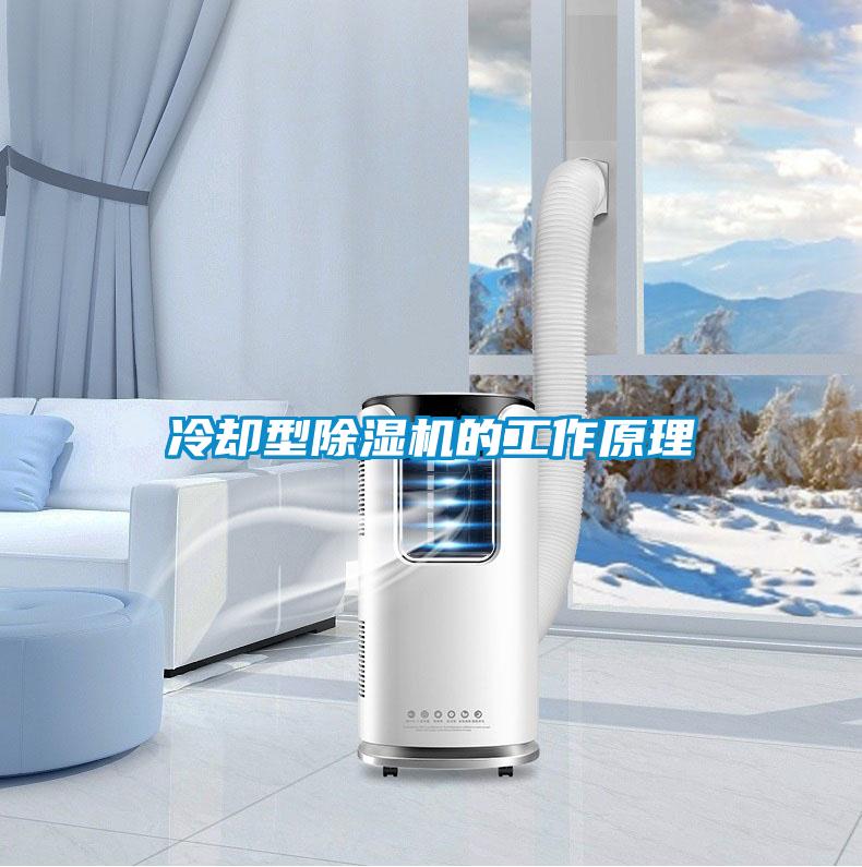 冷卻型除濕機(jī)的工作原理