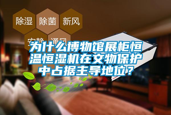 為什么博物館展柜恒溫恒濕機在文物保護中占據主導地位？