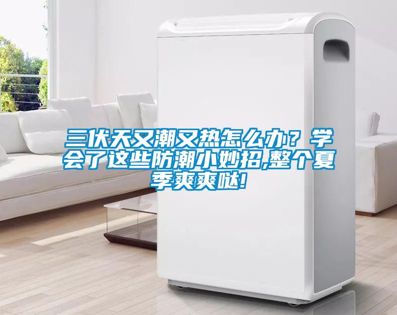三伏天又潮又熱怎么辦？學會了這些防潮小妙招,整個夏季爽爽噠!