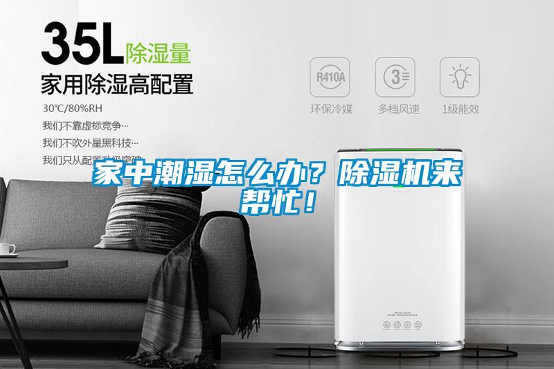 家中潮濕怎么辦？除濕機(jī)來幫忙！