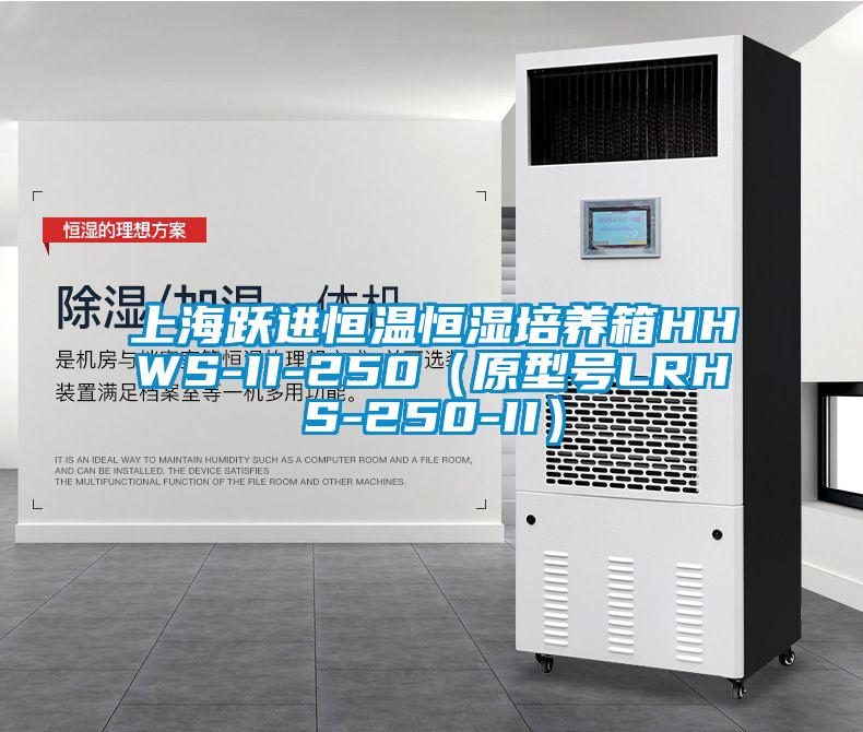 上海躍進恒溫恒濕培養箱HHWS-II-250（原型號LRHS-250-II）