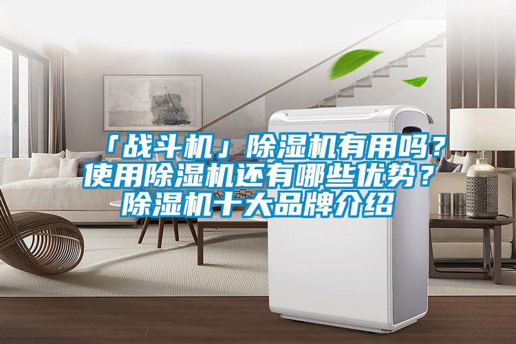 「戰斗機」除濕機有用嗎？使用除濕機還有哪些優勢？除濕機十大品牌介紹