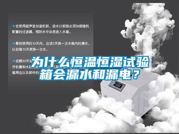 為什么恒溫恒濕試驗箱會漏水和漏電？