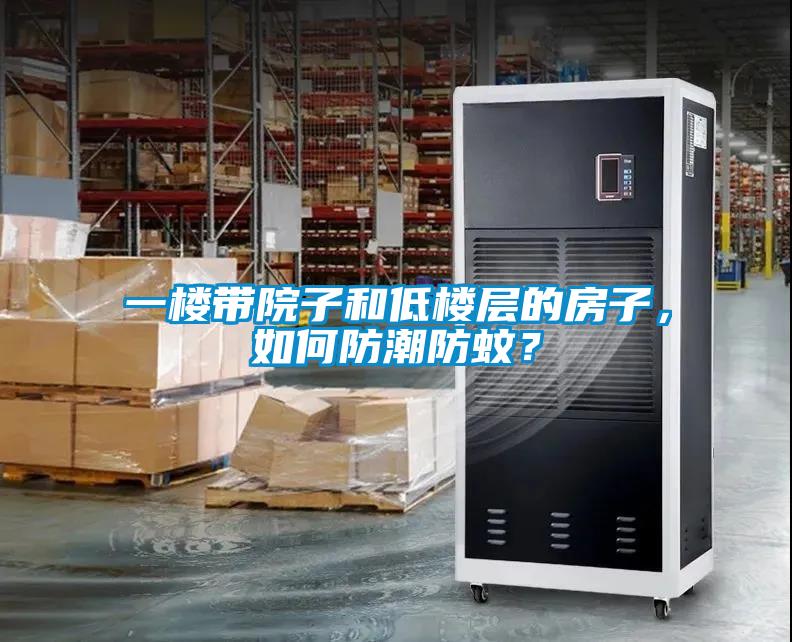 一樓帶院子和低樓層的房子，如何防潮防蚊？