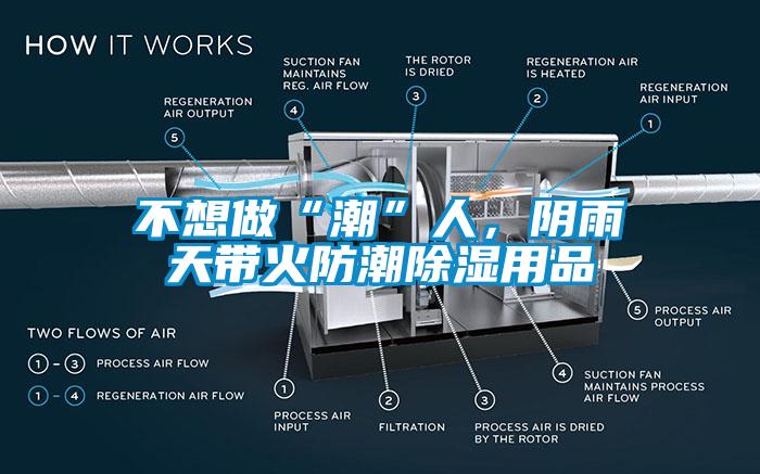 不想做“潮”人，陰雨天帶火防潮除濕用品