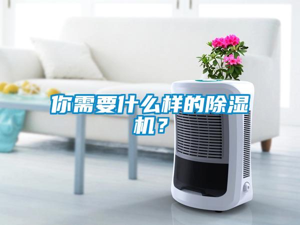你需要什么樣的除濕機(jī)？