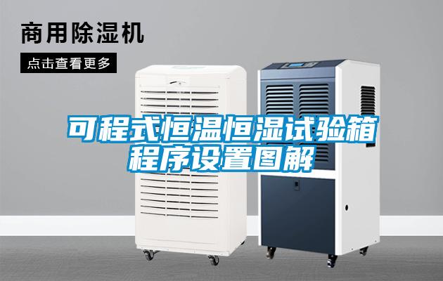 可程式恒溫恒濕試驗箱程序設(shè)置圖解