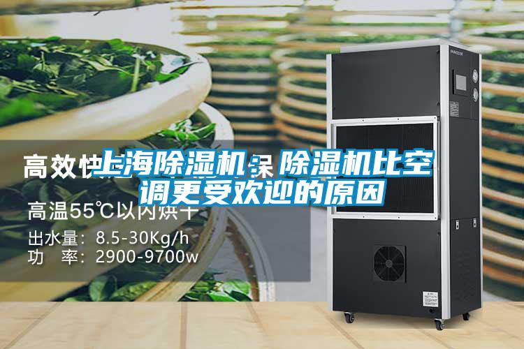 上海除濕機：除濕機比空調(diào)更受歡迎的原因