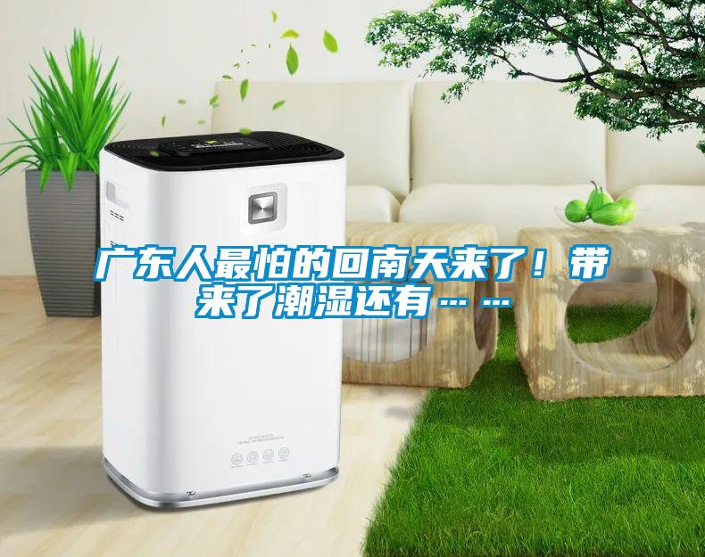 廣東人最怕的回南天來(lái)了！帶來(lái)了潮濕還有……
