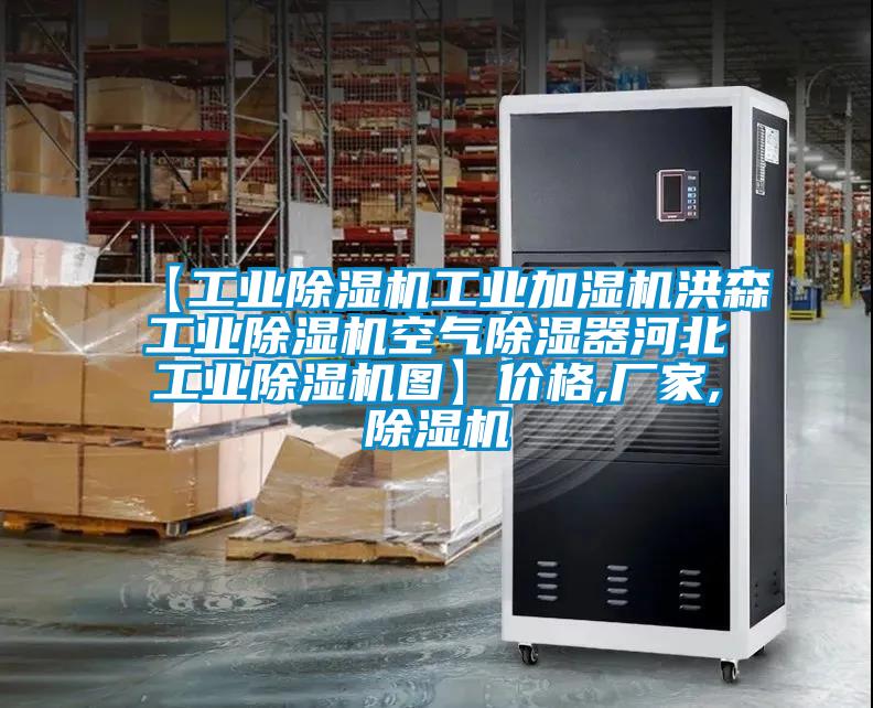 【工業除濕機工業加濕機洪森工業除濕機空氣除濕器河北工業除濕機圖】價格,廠家,除濕機