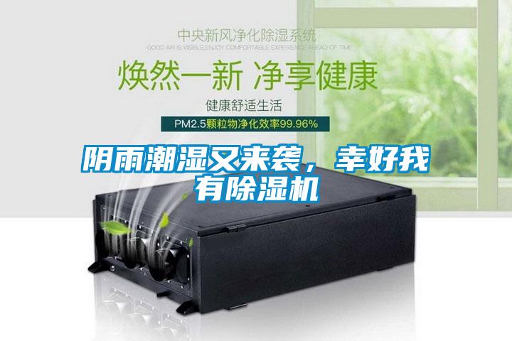陰雨潮濕又來襲，幸好我有除濕機