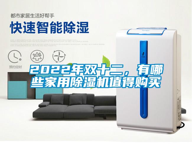 2022年雙十二，有哪些家用除濕機值得購買