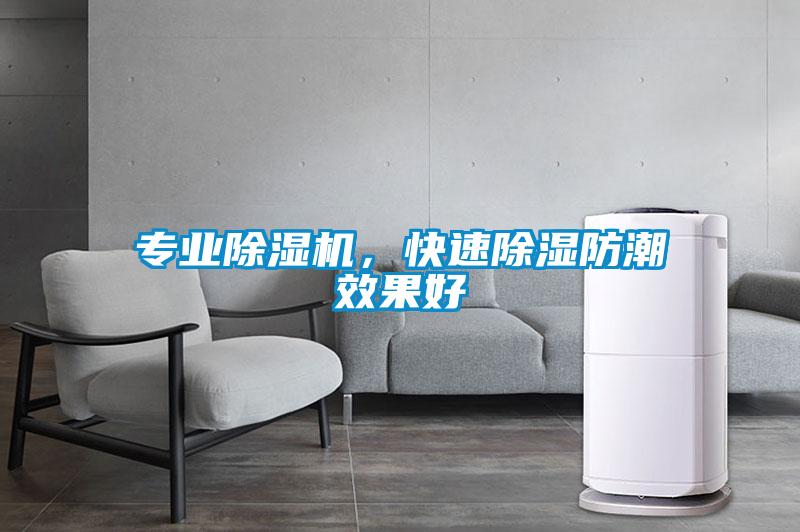 專業除濕機，快速除濕防潮效果好