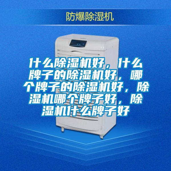 什么除濕機好，什么牌子的除濕機好，哪個牌子的除濕機好，除濕機哪個牌子好，除濕機什么牌子好