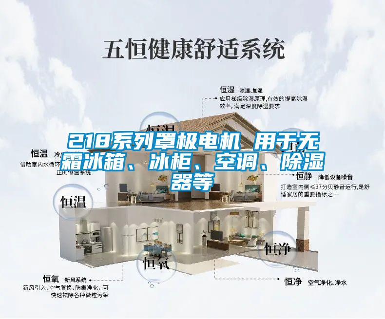 218系列罩極電機(jī) 用于無霜冰箱、冰柜、空調(diào)、除濕器等