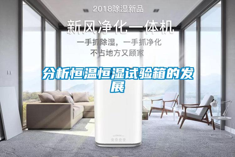 分析恒溫恒濕試驗箱的發展
