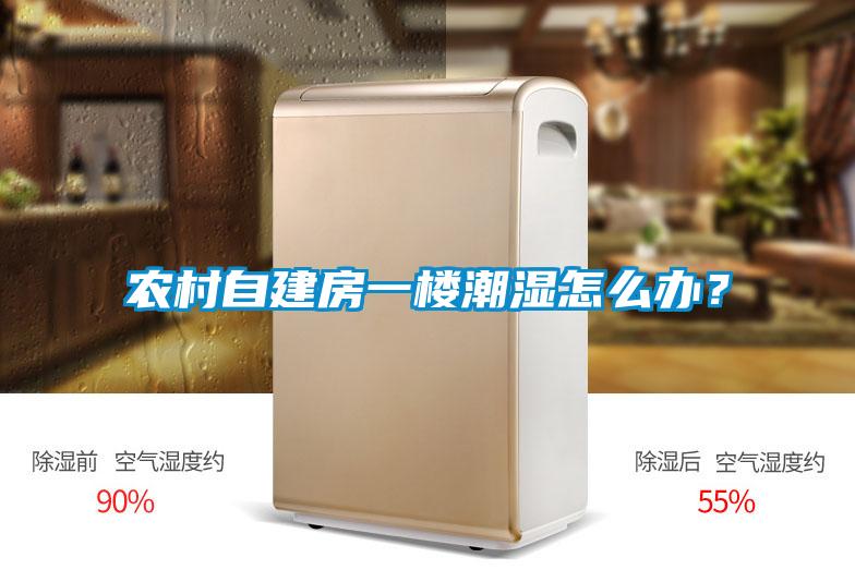 農村自建房一樓潮濕怎么辦？