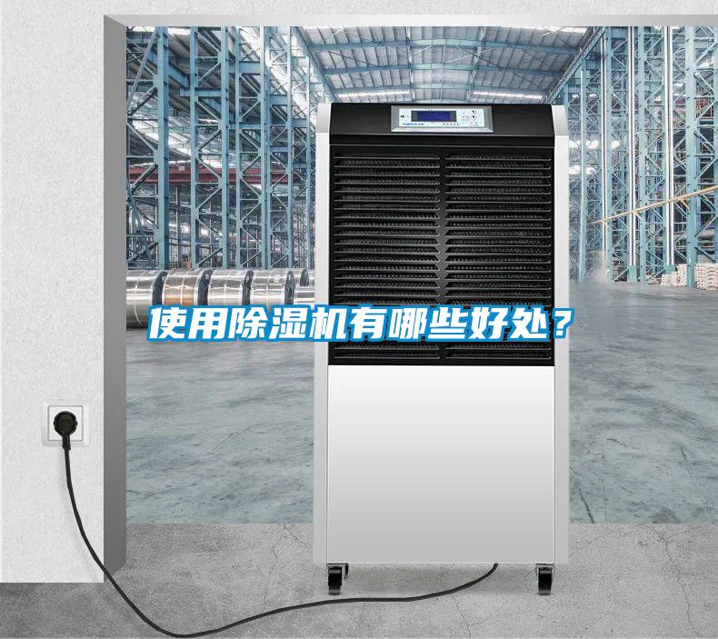 使用除濕機有哪些好處？