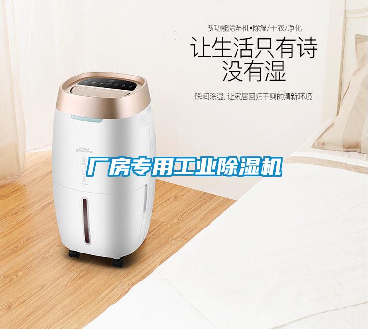 廠房專用工業(yè)除濕機