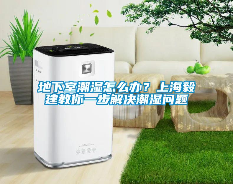 地下室潮濕怎么辦？上海毅建教你一步解決潮濕問題