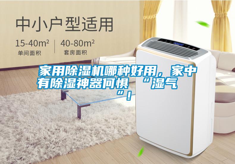 家用除濕機(jī)哪種好用，家中有除濕神器何懼 “濕氣 “！