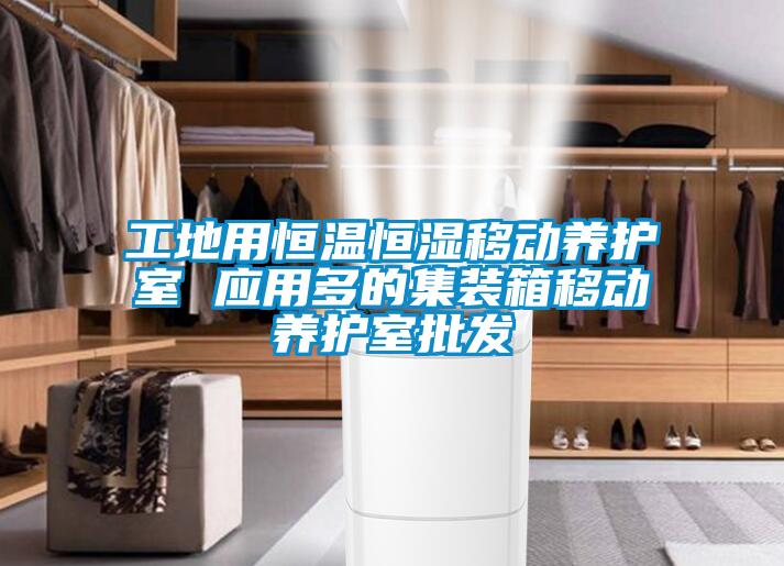 工地用恒溫恒濕移動養護室 應用多的集裝箱移動養護室批發