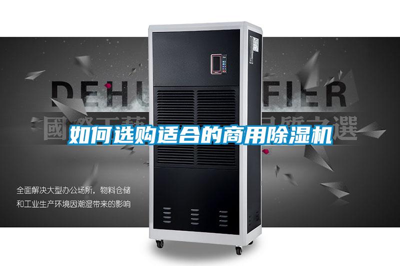 如何選購適合的商用除濕機