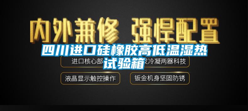 四川進口硅橡膠高低溫濕熱試驗箱
