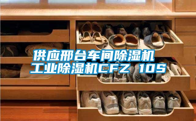 供應(yīng)邢臺車間除濕機(jī) 工業(yè)除濕機(jī)CFZ 10S