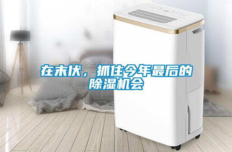 在末伏，抓住今年最后的除濕機(jī)會(huì)