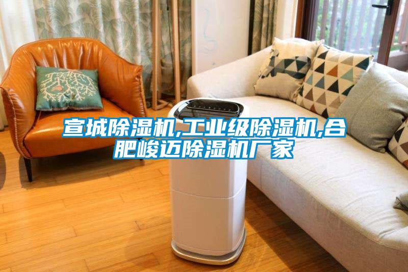 宣城除濕機,工業級除濕機,合肥峻邁除濕機廠家