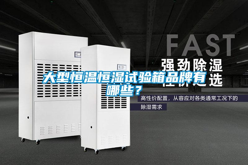 大型恒溫恒濕試驗箱品牌有哪些？