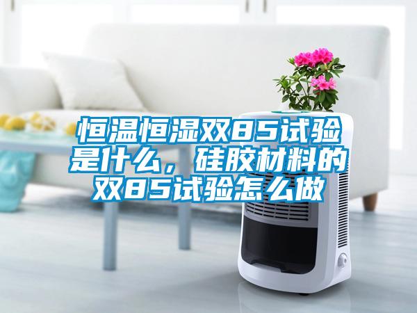 恒溫恒濕雙85試驗是什么，硅膠材料的雙85試驗怎么做