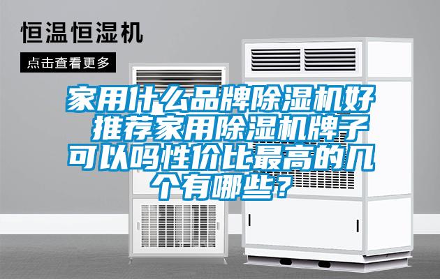 家用什么品牌除濕機好 推薦家用除濕機牌子可以嗎性價比最高的幾個有哪些？