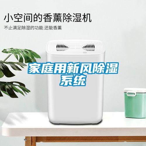 家庭用新風除濕系統(tǒng)