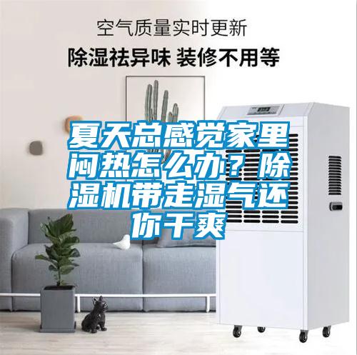 夏天總感覺家里悶熱怎么辦？除濕機(jī)帶走濕氣還你干爽