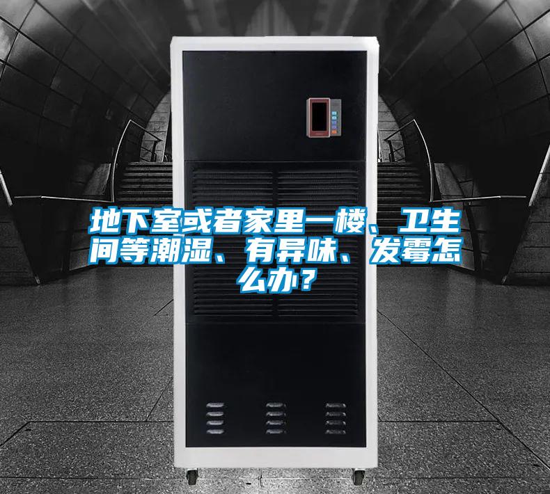 地下室或者家里一樓、衛生間等潮濕、有異味、發霉怎么辦？