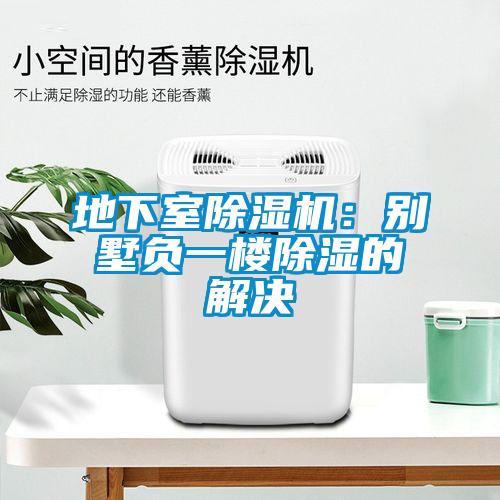 地下室除濕機(jī)：別墅負(fù)一樓除濕的解決