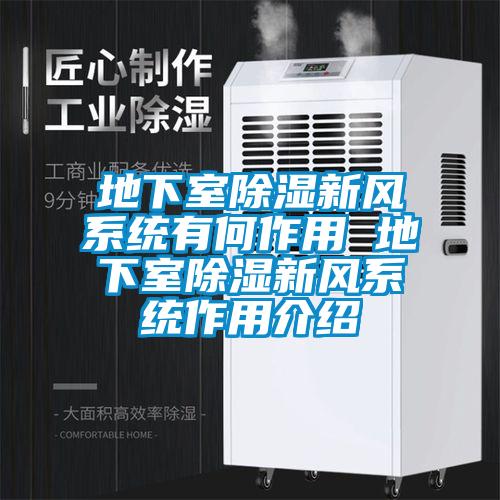地下室除濕新風系統有何作用 地下室除濕新風系統作用介紹
