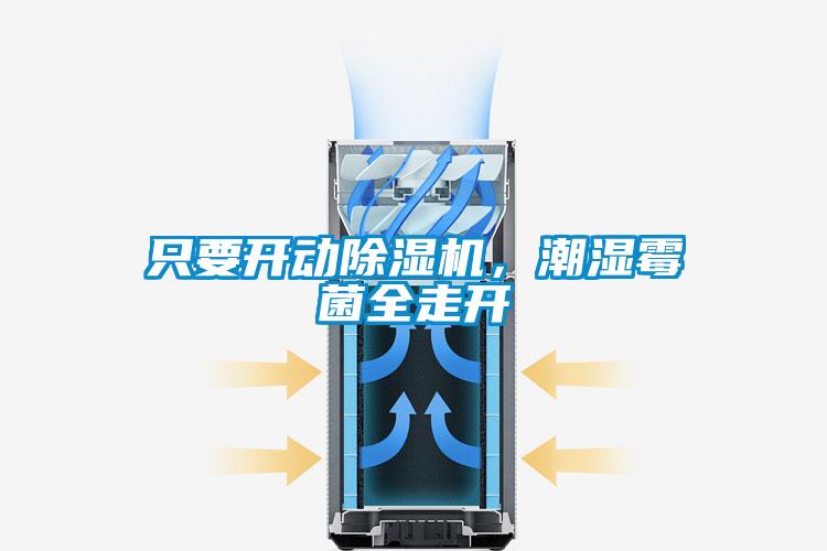 只要開動除濕機，潮濕霉菌全走開