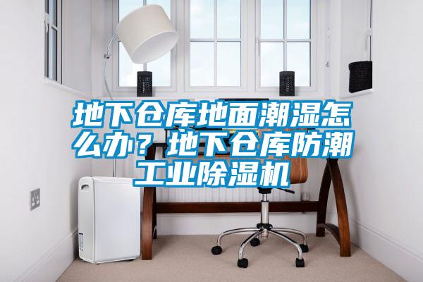 地下倉庫地面潮濕怎么辦？地下倉庫防潮工業除濕機