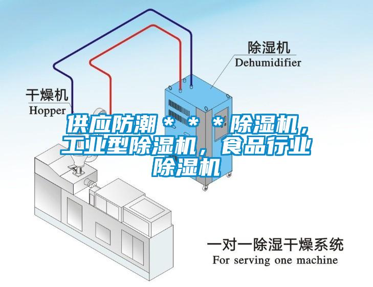 供應(yīng)防潮＊＊＊除濕機，工業(yè)型除濕機，食品行業(yè)除濕機