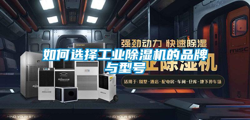 如何選擇工業(yè)除濕機(jī)的品牌與型號
