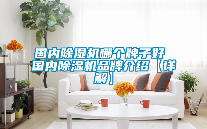 國內(nèi)除濕機(jī)哪個(gè)牌子好 國內(nèi)除濕機(jī)品牌介紹【詳解】