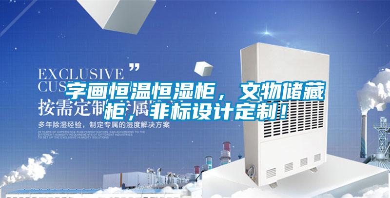 字畫恒溫恒濕柜，文物儲藏柜，非標設計定制！