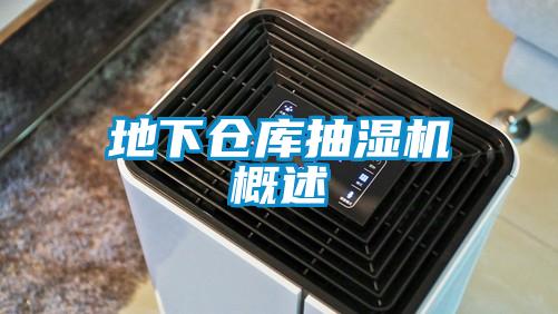 地下倉(cāng)庫(kù)抽濕機(jī)概述