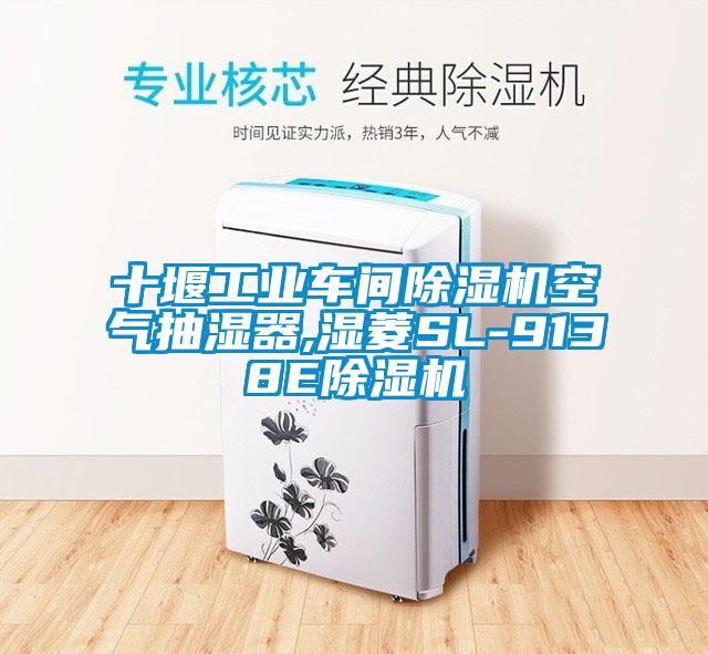 十堰工業(yè)車(chē)間除濕機(jī)空氣抽濕器,濕菱SL-9138E除濕機(jī)